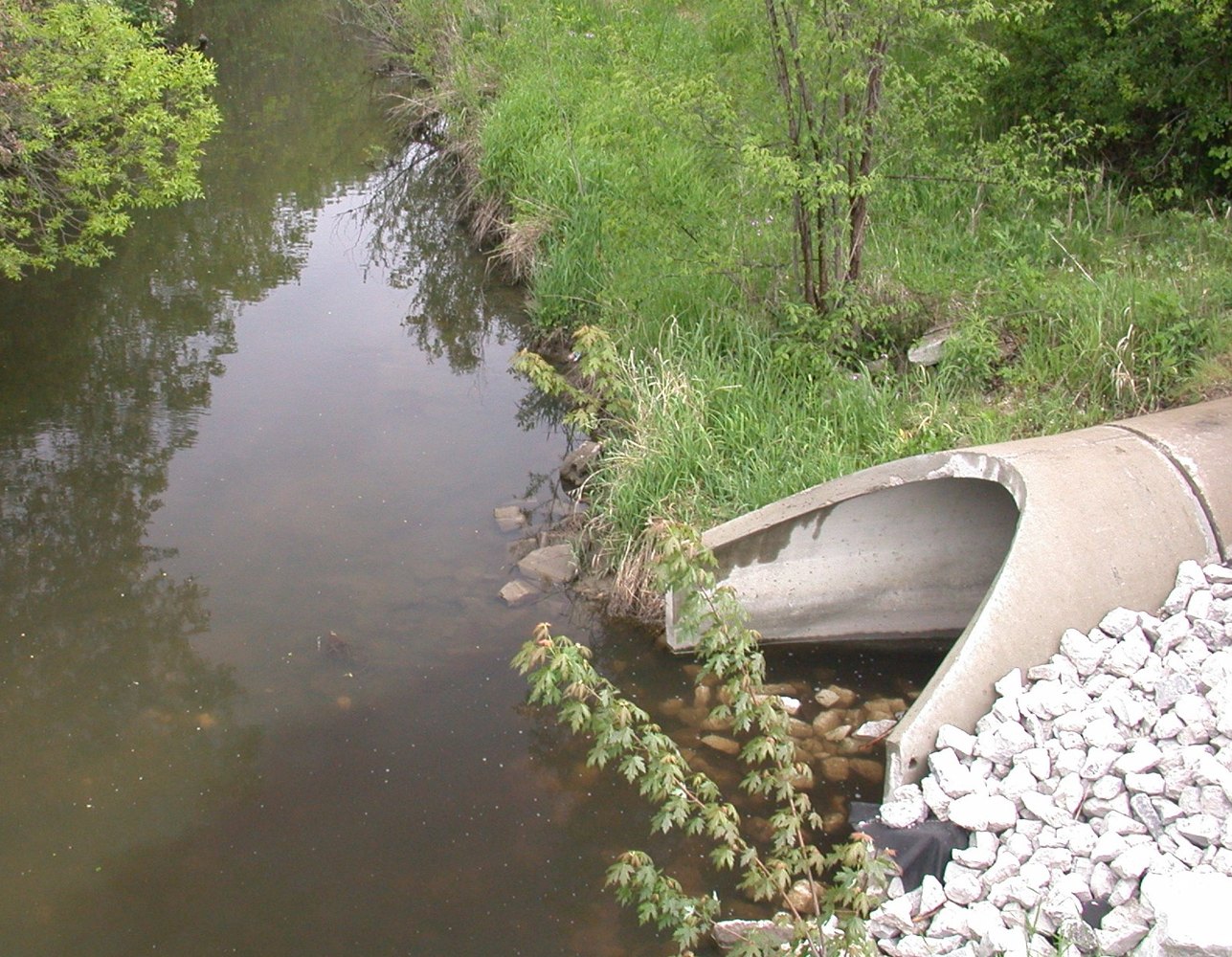 Stormwater pipe draining into a creek